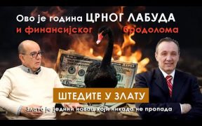 Crni labud i finansijski brodolom dolazi u 2024. godini