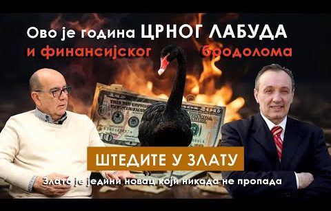 Crni labud i finansijski brodolom dolazi u 2024. godini